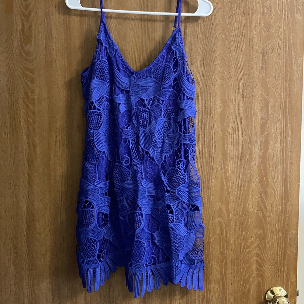 Express blue lace dress